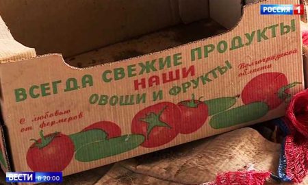 На подпольной ферме в Волгоградской области выращивали овощи-мутанты