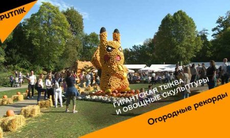 В Германии на празднике тыквы соорудили гигантского покемона и жар-птицу