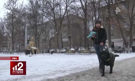 В Башкирии незрячую девушку выгнали из кафе с собакой-поводырем
