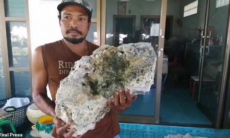 В Таиланде мусорщику посчастливилось найти на пляже ценную рвоту кашалота