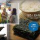 Компания «Daeryuk Food» представила свою продукцию потребителям на Продэкспо 2020 года