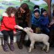 Кейт Миддлтон посетила ферму, где вместе с детьми покормила из бутылки ягненка