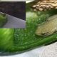 Природная головоломка: живую лягушку нашли внутри целого болгарского перца