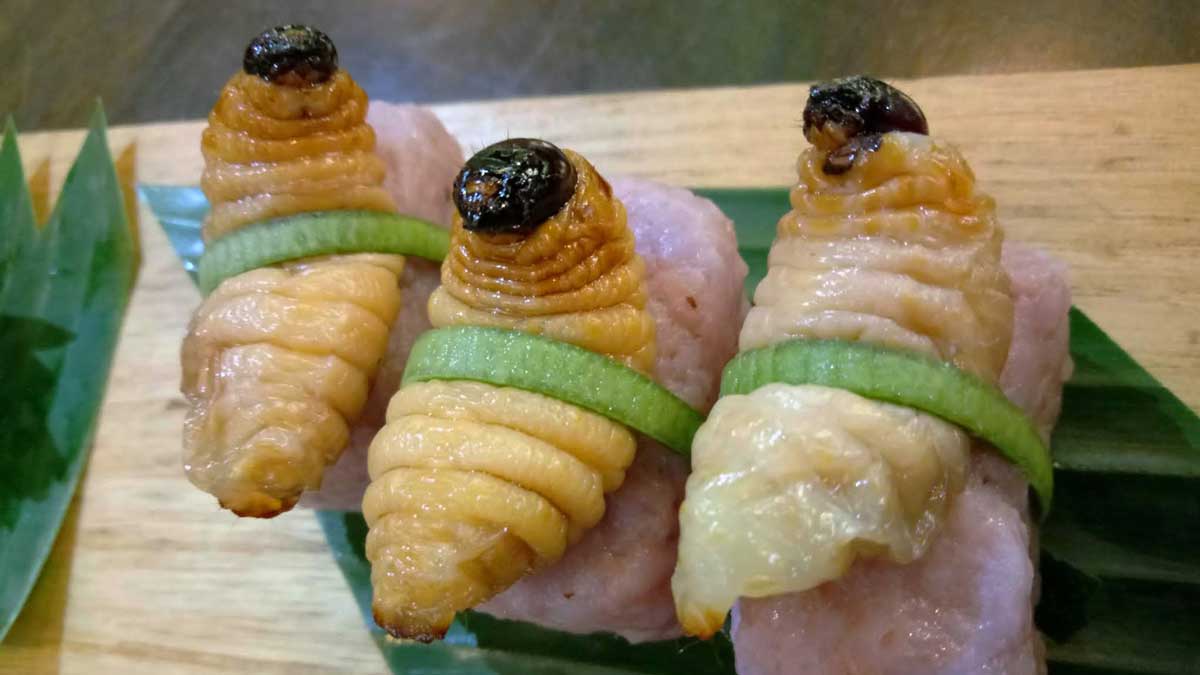 Экзотика на столе: Бутод - суши с червями