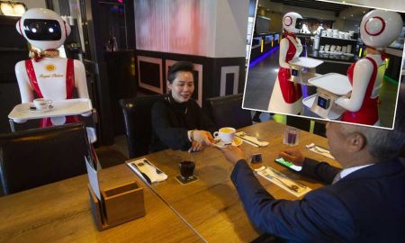 Covid-19: В Нидерландах в китайском кафе официантов заменили роботы