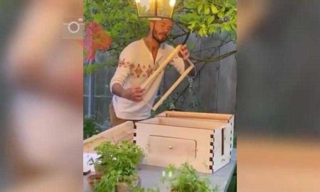 Дэвид Бекхэм решил заняться пчеловодством