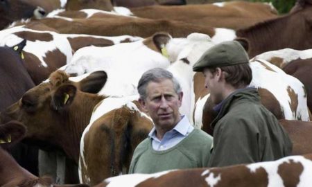 Принц Чарльз отказался от любимой фермы в Глостершире