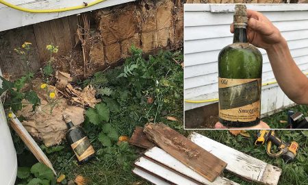 В ходе ремонта дома обнаружен тайник с 60 бутылками столетнего виски