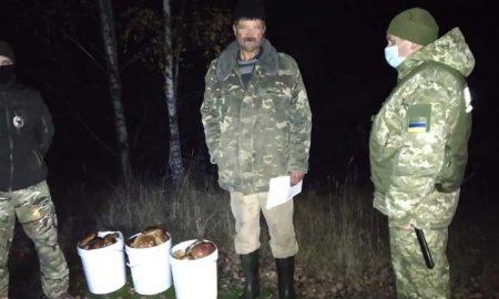 В Чернобыле задержаны сборщики радиоактивных грибов