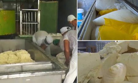Работники фабрики на Кубе украли почти полторы тонны сыра