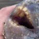 Мужчина поймал рыбу с человеческими зубами и был потрясен