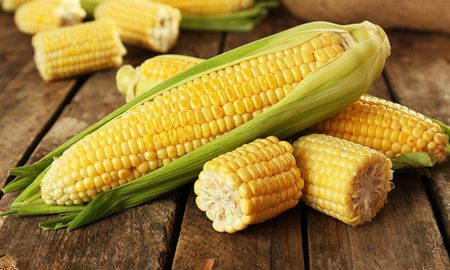 Початки кукурузы