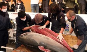 Огромный тихоокеанский тунец был продан в Токио за 16,9 млн. иен