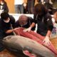 Огромный тихоокеанский тунец был продан в Токио за 16,9 млн. иен