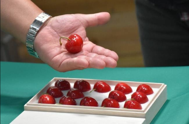 В Японии продали одну ягоду черешни за 300 долларов