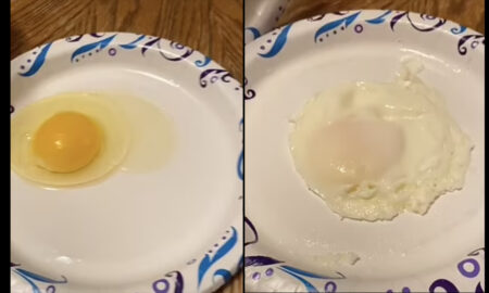 Лайфхак: простой способ приготовления яйца без духовки и сковороды