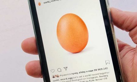 Почему фото яйца произвело фурор в сети