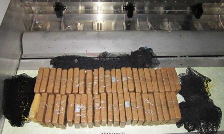 В контейнере с бананами из Эквадора нашли 50 кг наркотиков
