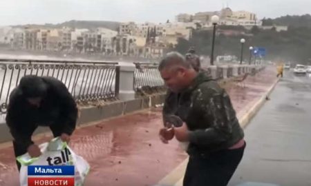 Жители Мальты собрали на дороге неплохой улов
