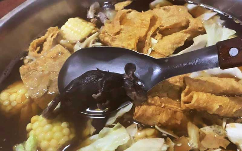 Мужчина заказал в ресторане блюдо в котором обнаружил крысу