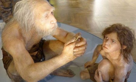 Ученые смогли объяснить причины каннибализма среди неандертальцев
