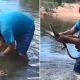 Житель Австралии голыми руками ловит крокодилов