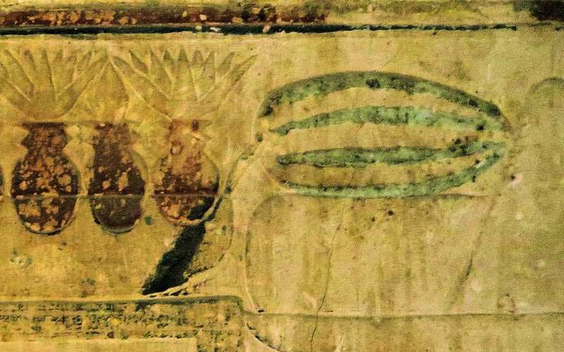 Ученые нашли подтверждение тому, что египтяне одомашнили арбуз