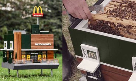 В McDonald's озабочены проблемой вымирания пчел на планете