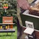В McDonald's озабочены проблемой вымирания пчел на планете