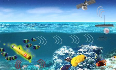 Ученые: рыбы и креветки могут помочь засечь вражескую подводную лодку
