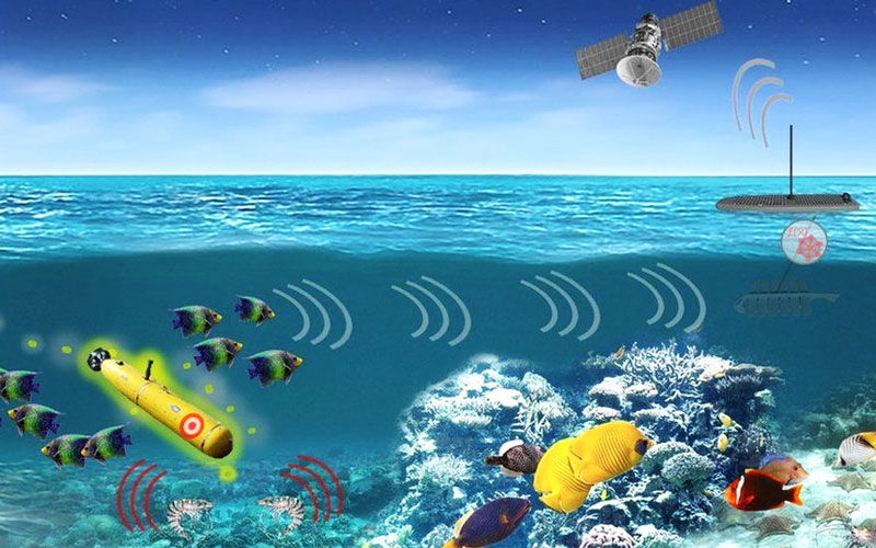 Ученые: рыбы и креветки могут помочь засечь вражескую подводную лодку