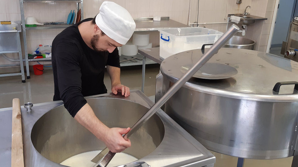Студенческая сыроварня наладила производство итальянских и французских сыров
