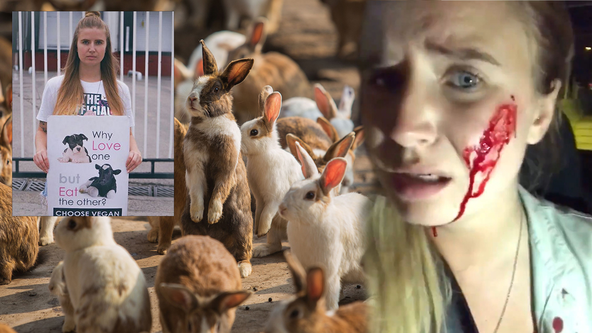 Веганка «спасла» 16 кроликов и погубила сотню крольчат