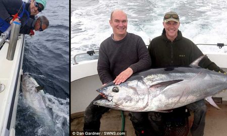 Рыбак поймал редчайшего тунца весом 272 кг