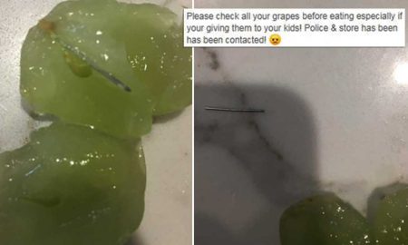 Очередная жительница Австралии нашла иглу в винограде