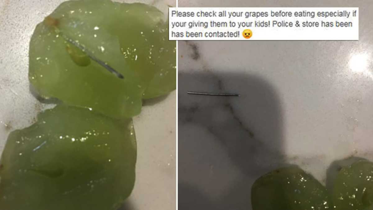 Очередная жительница Австралии нашла иглу в винограде