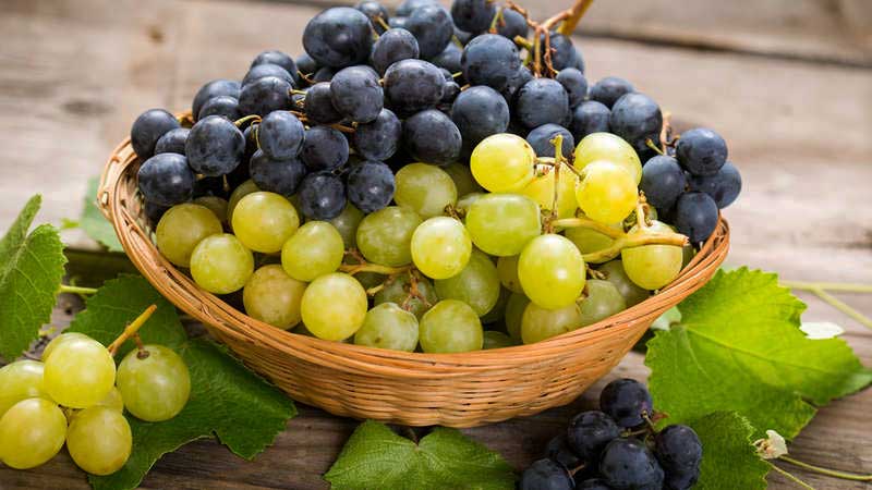 Грозди винограда в корзинке