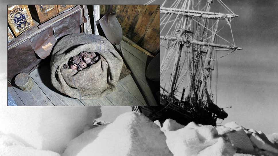 В Антарктиде обнаружен мешок лука столетней давности