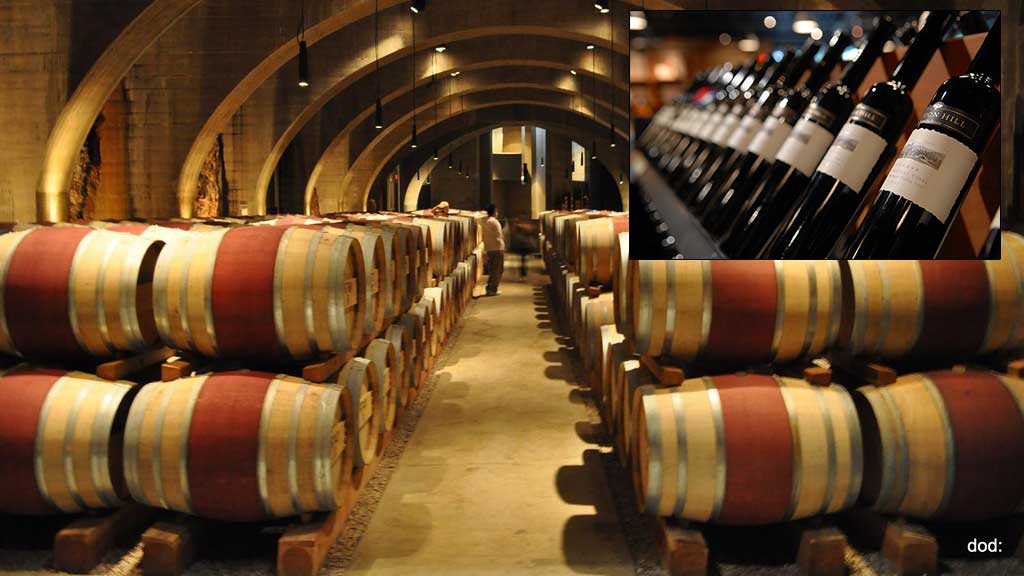 Сотрудник винодельни случайно вылил почти 17 тысяч литров вина в канализацию