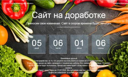 В Беларуси сервис доставки продуктов с Комаровки проработал только сутки
