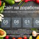 В Беларуси сервис доставки продуктов с Комаровки проработал только сутки