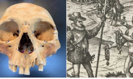 Ученые подтвердили правдивость рассказов Колумба о карибах-каннибалах