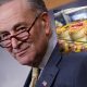 Американский сенатор потратил более $8 тысяч на "сказочные" чизкейки