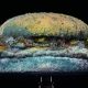 Плесень на воппере доказывает, что Burger King не использует консерванты