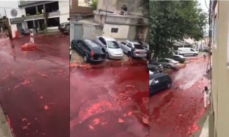 Тысячи литров крови растеклись по улице аргентинского города