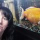Золотая рыбка съела всех в аквариуме и выросла до огромных размеров