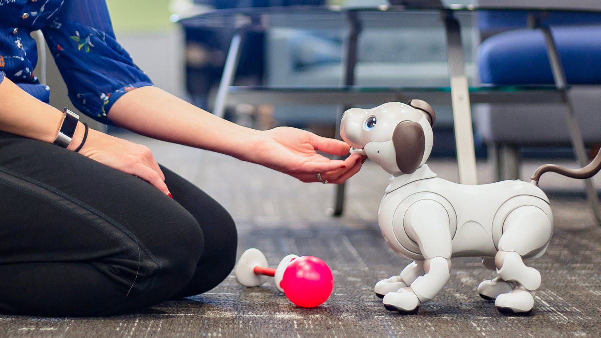 В Токио открыли кофейню для собак-роботов с хозяевами