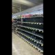 Жена Овечкина показала опустевшие полки в супермаркете в США
