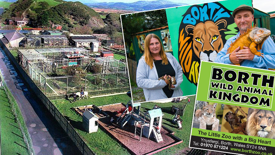 Владельцы частного зоопарка пригрозили убить животных в случае нехватки денег на корм