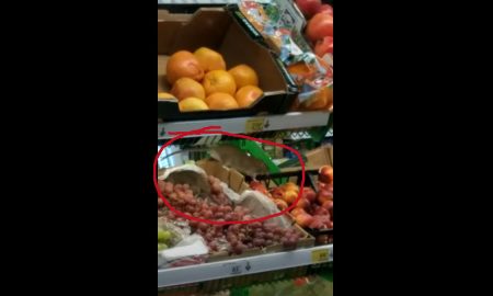 Сидящие на прилавке с фруктами в российском супермаркете крысы попали на видео